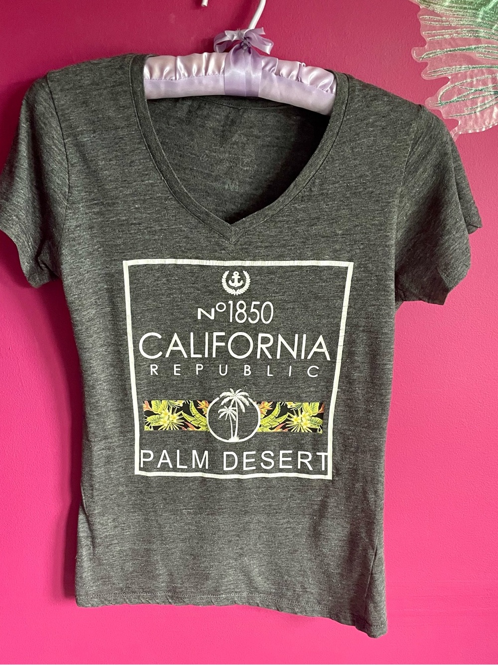 California Republic Palm Desert V‑Neck Tee - Gray